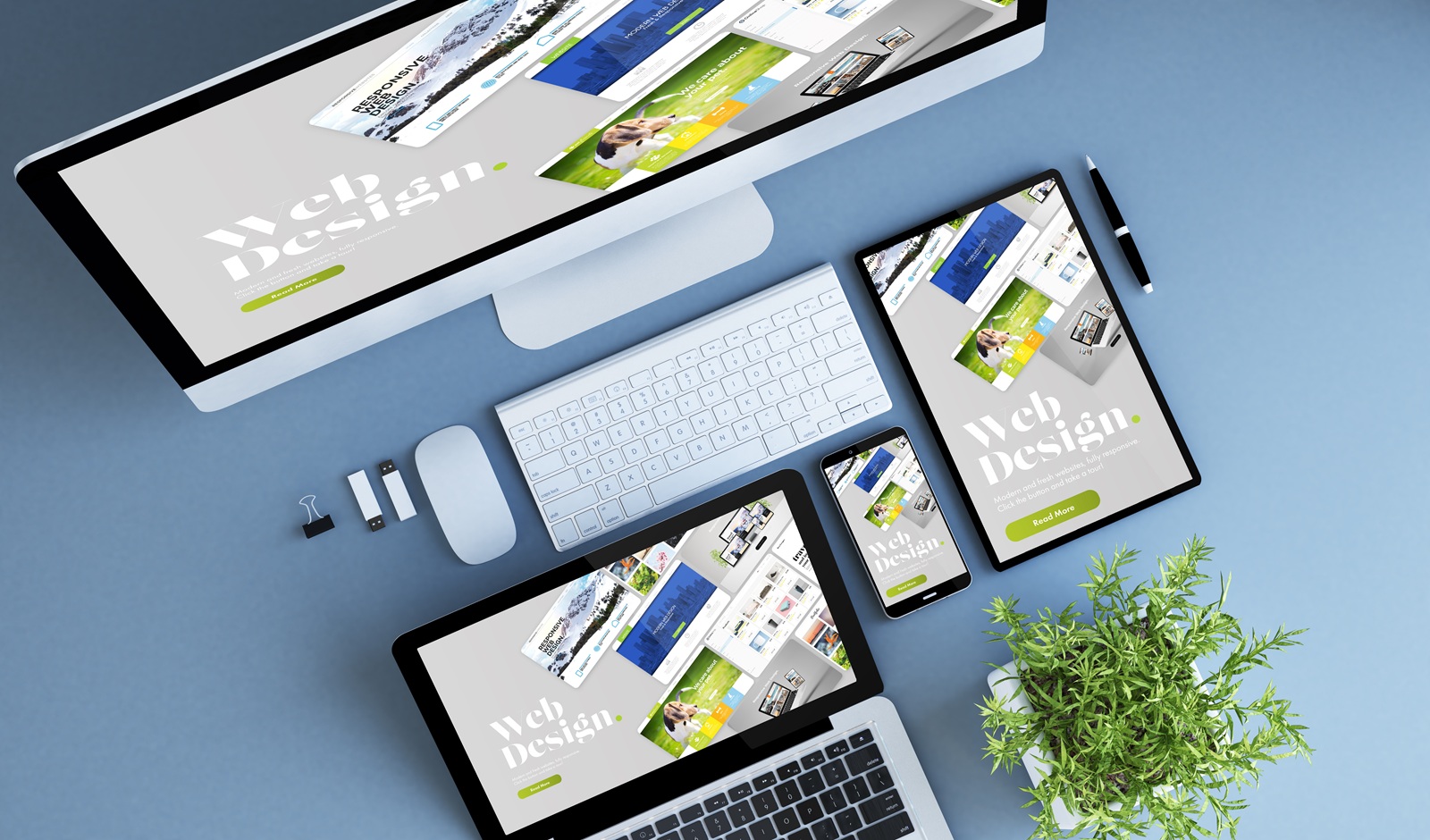 Web Design